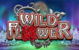 Wild Flower